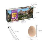 DIY Dino Eggs Excavation Kits - Archaeology - yanxidiy