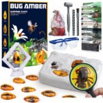Amber Insect Fossil Archaeological Dig Kit - Archaeology - yanxidiy