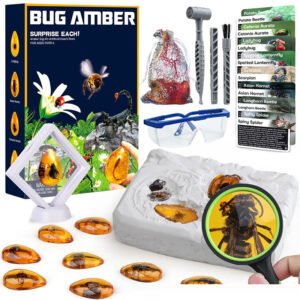Amber Insect Fossil Archaeological Dig Kit - Archaeology - yanxidiy