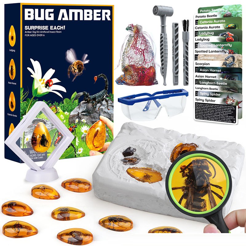 Amber Insect Fossil Archaeological Dig Kit - Archaeology - yanxidiy
