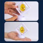 Amber Insect Fossil Archaeological Dig Kit - Archaeology - yanxidiy
