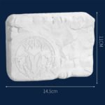 Amber Insect Fossil Archaeological Dig Kit - Archaeology - yanxidiy